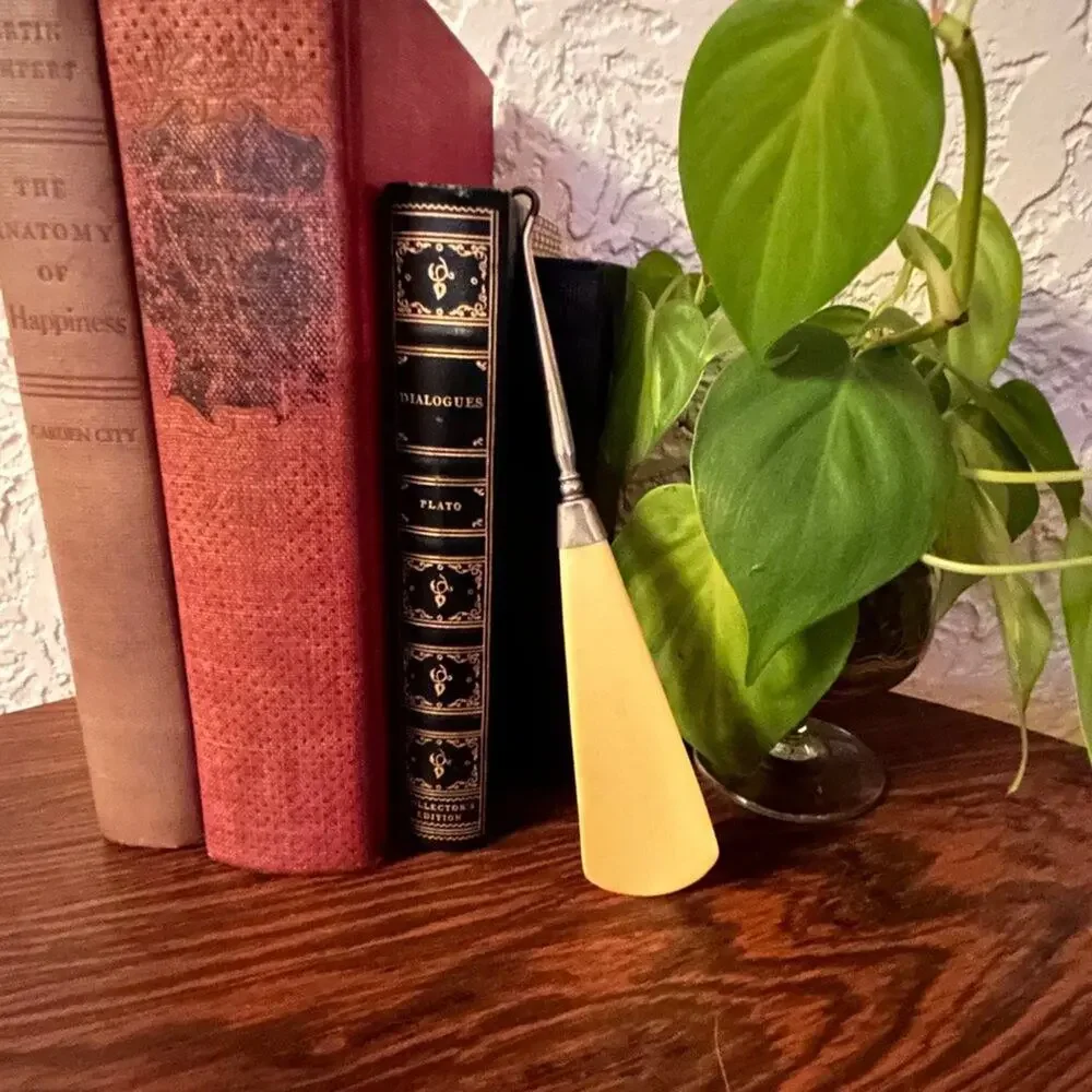 Antique Faux Ivory Vintage Victorian Shoehorn and Button Hook Made in England